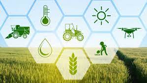 Bisnis Agrikultur melalui Inovasi Produksi Pangan Global